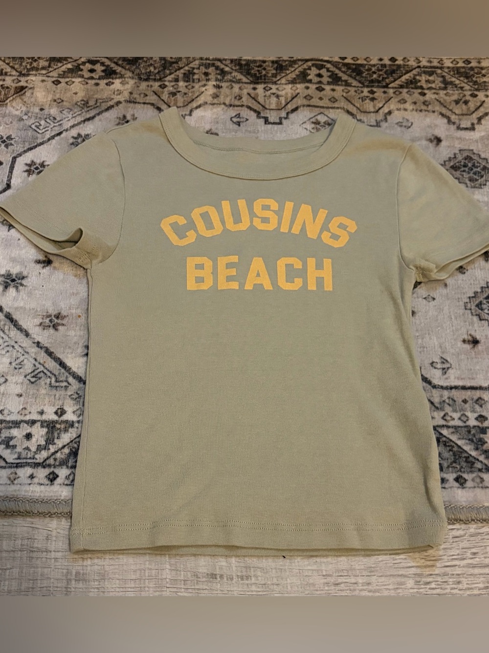 American Eagle The Summer I Turned Pretty Cousins Beach T-Shirt Womens Size XS